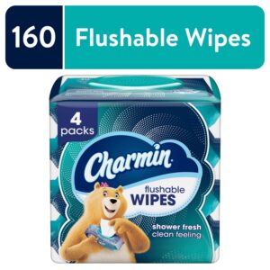 Charmin Flushable Wipes, 4 Flip-Top Packs, 40 Cleansing Wipes per Pack, 160 Total Wipes - Image 1