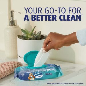 Charmin Flushable Wipes, 4 Flip-Top Packs, 40 Cleansing Wipes per Pack, 160 Total Wipes - Image 6