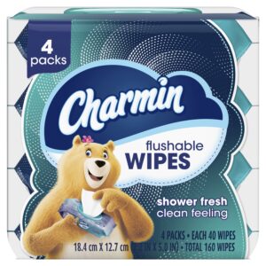 Charmin Flushable Wipes, 4 Flip-Top Packs, 40 Cleansing Wipes per Pack, 160 Total Wipes - Image 9