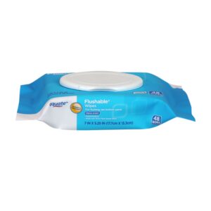 Equate Flushable Wet Wipes, Fresh Scent, 48 Wipes, Compare to Cottonelle®