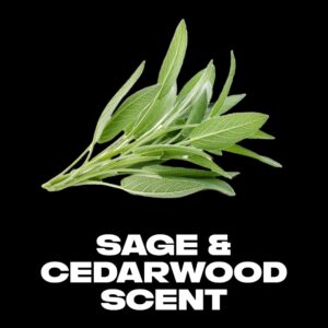 Axe Apollo Long Lasting Men's Deodorant Stick, Sage and Cedarwood, 3 oz - Image 5