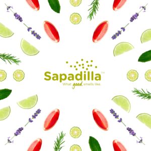 Sapadilla Liquid Hand Soap - Rosemary + Peppermint - Made with 100% Pure Essential Oil Blends, Cleansing & Moisturizing, Aromatic & Fragrant Hand Soap, Plant Based, Biodegradable, 12 Ounce (Pack of 1) - Image 16