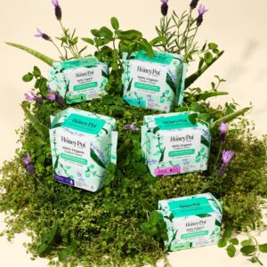 Honey Pot 100% Organic Cotton Cover Cooling Herbal Infusion Overnight Pads, 12 Count - Image 4