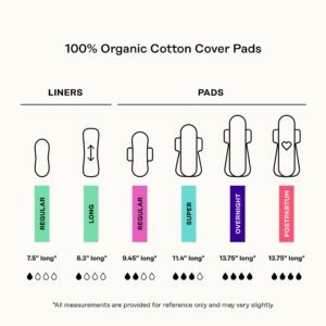 Honey Pot 100% Organic Cotton Cover Cooling Herbal Infusion Overnight Pads, 12 Count - Image 9