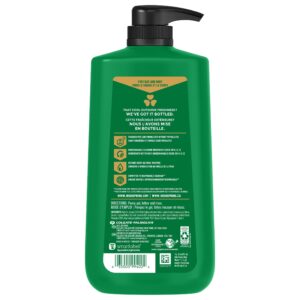 Irish Spring 5 in 1 Body Wash for Men, Men's Body Wash, All Skin Types, 30 fl oz Bottle - Image 10