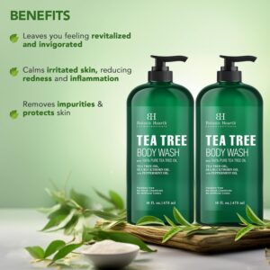 Botanic Hearth Tea Tree Body Wash - 16 fl oz - Helps Soothe Itchy, Dry Skin, Antifungal Body Wash with 100% Pure Tea Tree Oil - Sulfate Free, Paraben Free, for Men and Women - Image 3