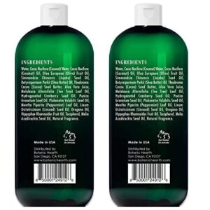 Botanic Hearth Tea Tree Body Wash - 16 fl oz - Helps Soothe Itchy, Dry Skin, Antifungal Body Wash with 100% Pure Tea Tree Oil - Sulfate Free, Paraben Free, for Men and Women - Image 8
