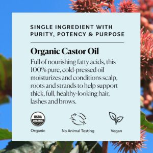 Sky Organics Organic Castor Oil Eyelash Serum for Fuller-Looking Lashes and Brows, 1 fl oz - Image 8