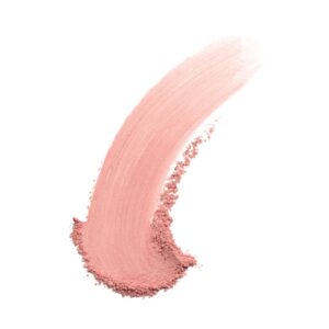 COVERGIRL Cheekers Blendable Powder Blush, 117 Plum Plush, 0.12 oz - Image 11