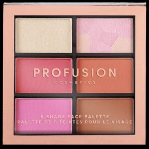 Profusion Cosmetics Artistry On-The-Go Eyeshadow and Face Palette - In The City - Image 16