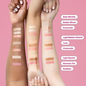 Pretty Smart All-in-one Face Palette 060, Light Neutral Photo Blur Perfect Finish, Hermosa Too Talc-Free Bronzer, Goddess Extra Pretty Pressed Blush, 8g - Image 3