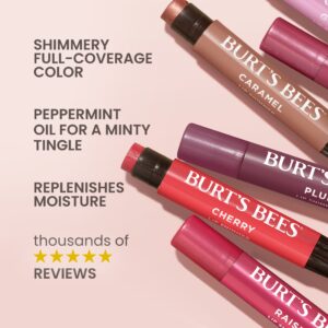 Burts Bees Lip Shimmer Fig 1 Tube, 0.09 Oz. - Image 4