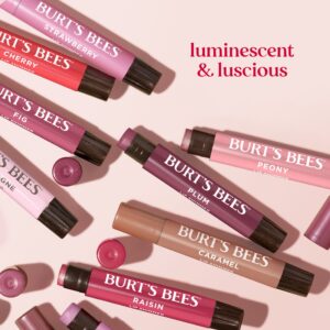 Burts Bees Lip Shimmer Rhubarb 1 Tube, 0.09 Oz. - Image 10