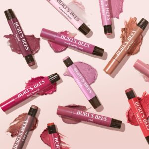 Burts Bees Lip Shimmer Fig 1 Tube, 0.09 Oz. - Image 11
