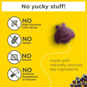 Zarbee's Children's Daily Immune Support* Gummies + Elderberry, 42 Count - Image 3