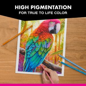 Prismacolor Premier Colored Pencils, Soft Core, Botanical Garden Set, 12 Count - Image 5