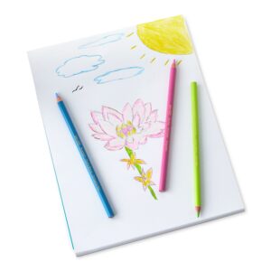 Pen+Gear Sharpened Colored Pencils, Assorted Pastel Colors, 12 Count - Image 5